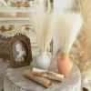 55CM 10Pcs Fluffy Pampas Grass for Boho Wedding & Home Decor 3