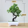 Mini Bonsai Artificial Tree 3