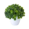 Artificial Potted Bonsai Green Tree 3