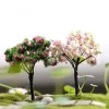 Rural Style Sakura Miniature Trees 3