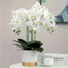 69cm Real Touch Faux Orchid Stems for Wedding & Home Floral Arrangements 2