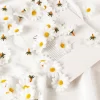 100Pcs Mini Daisies – Silk Flowers for DIY & Party Decor 2