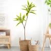 66-98cm Artificial Palm Tree Gold Edge Green Edge 2