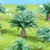 Mini Dwarf Coconut Palm Trees Set 5