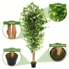 6-Inch Simulated Ficus Tree 6