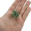 Mini Dwarf Coconut Palm Trees Set 3