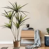 Large Artificial Dracaena Plant 2