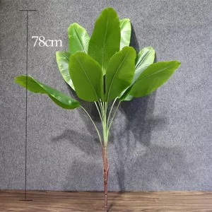 70-78cm Large Palm Leaves 1