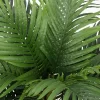 6FT Artificial Tropical Palm Tree 2