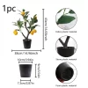 1PCS Artificial Lemon Tree Bonsai 6