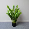 40-70cm Fake Money Leaf Ficus 4