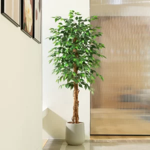 Artificial Ficus Trees with Curved Trunks 1