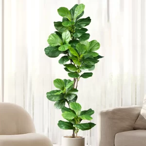 Large Artificial Ficus Tree (70-135CM) 1