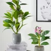 Artificial Azaleas Plant with Faux Ficus Leaves 2