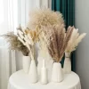 Boho Pampas Grass Decor – Natural Fluffy Dried Flowers for Wedding & Home 5