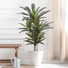 Dracaena Artificial Plant (4ft) 5