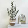 Artificial Olive Tree with High Branches 6