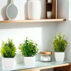 Artificial Plant Tree Window Sill Office Table Decoration 5