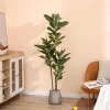 5ft Artificial Rubber Tree 5