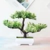 Mini Potted Pine Bonsai for Desk & Home Decor 3