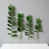 40-70cm Fake Money Leaf Ficus 6