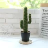 30/43cm Artificial Cactus Tree for Home 5