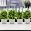 Artificial Plant Tree for Window Sill or Office Desk 4