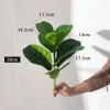 38cm Small Ficus Plant 4