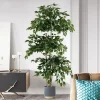 5.9FT Artificial Monstera & Banyan Tree 2