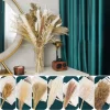 Boho Pampas Grass Decor – Natural Fluffy Dried Flowers for Wedding & Home 3