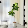 70-130cm Ficus Tree – Faux Magnolia & Monstera Branches 3