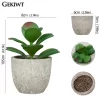 Mini Evergreen Artificial Succulent Plants 5