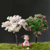 Rural Style Sakura Miniature Trees 2