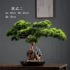 Welcome Pine Bonsai Desk Ornament 2