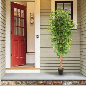 6-Inch Simulated Ficus Tree 1