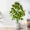 50-75cm Fake Palm & Monstera Leaves 5