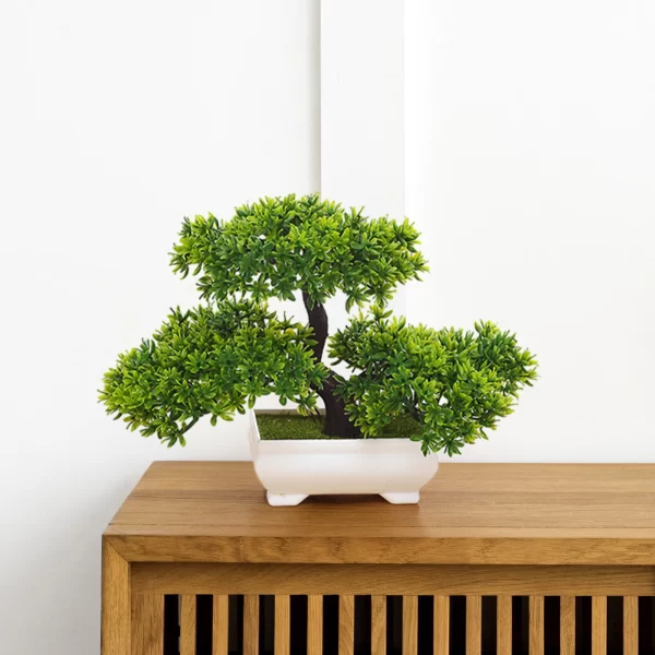 Japanese Pine Bonsai – Zen Desk Centerpiece 1