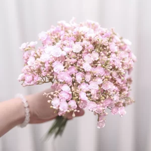 6PCS Baby’s Breath – Delicate Gypsophila for Home & Party 1