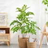 92-120cm (47.2 in) Artificial Banyan Tree 5