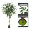 Artificial Ficus Tree 2