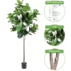 Faux Fiddle Leaf Fig Tree 4