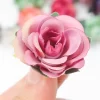 10/20/50Pcs Mini Roses for Wreaths & Wedding Garlands 5