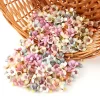 50/100Pcs Mini Daisy Heads for Wreaths & DIY Wedding Crafts 2