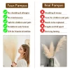 39inch Fluffy Pampas Grass for Boho Wedding & Christmas Decor 4