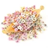 50/100Pcs Mini Daisy Heads for Wreaths & DIY Wedding Crafts 3