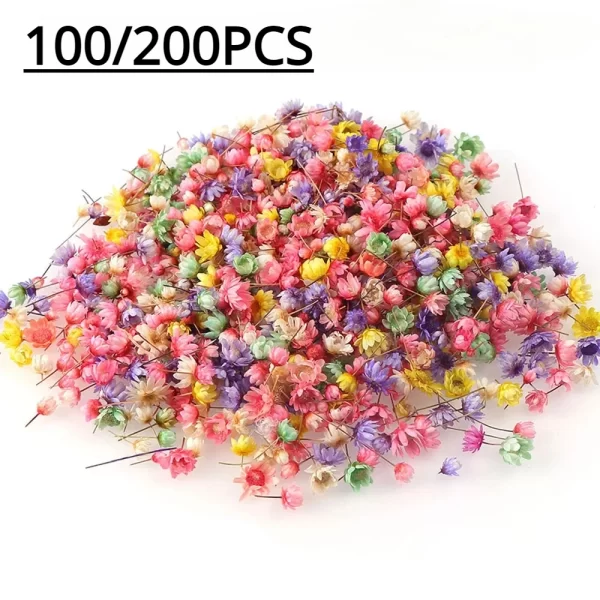 100pcs Mini Star Flowers for Resin Crafts & Nail Art 1