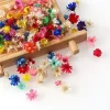 100pcs Mini Star Flowers for Resin Crafts & Nail Art 2